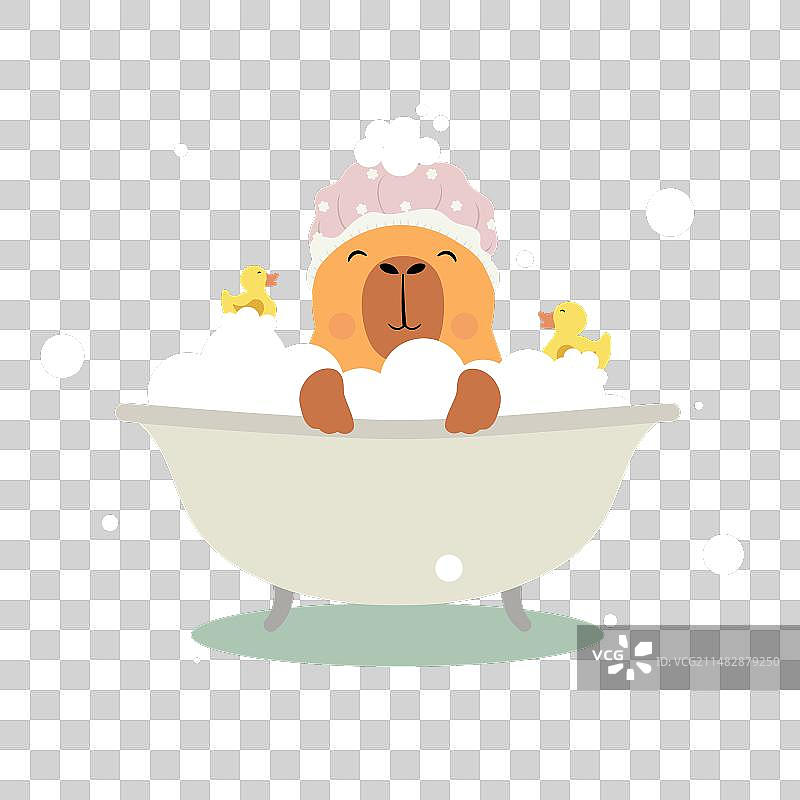 戴着浴帽的可爱水豚图片素材