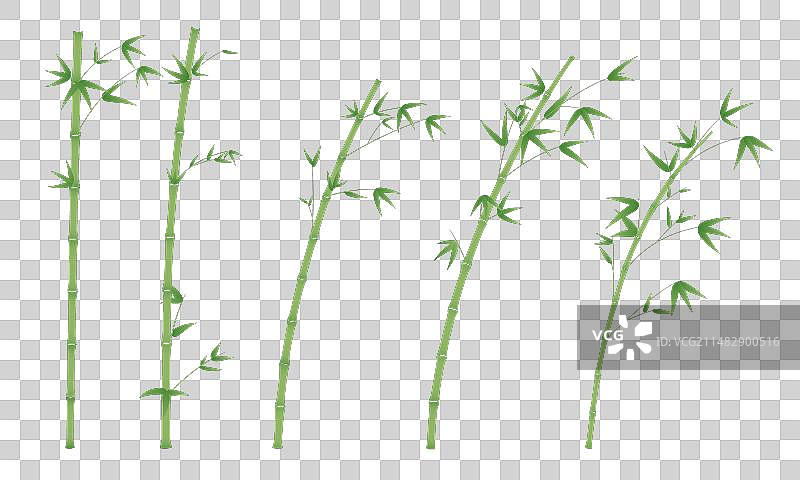 竹子矢量插画素材图片素材