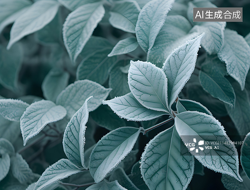 【AI数字艺术】冬季打霜的树叶图片素材