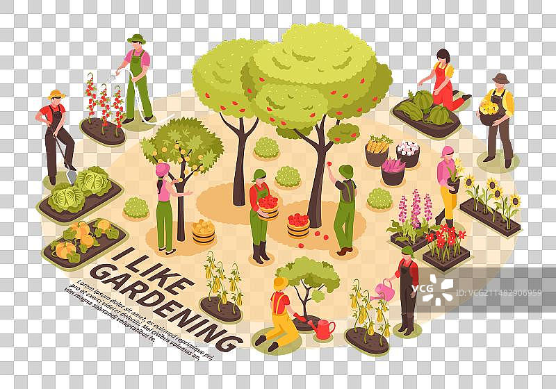 2.5D园艺等距信息图图片素材