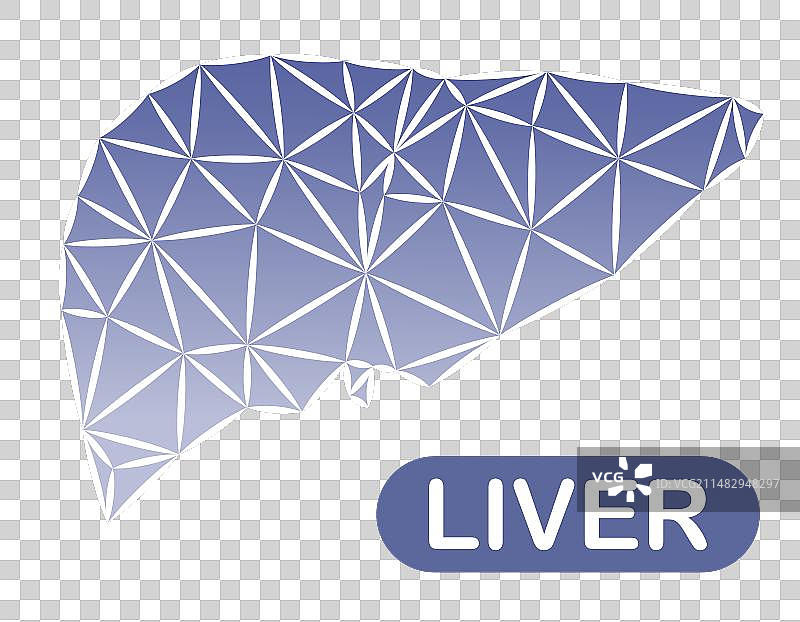 具有多面三角形的人类肝脏图片素材