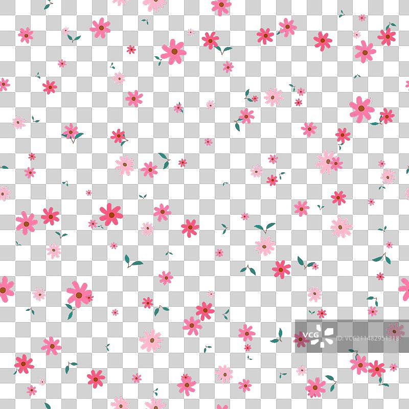 手绘流行小雏菊花朵野地图片素材