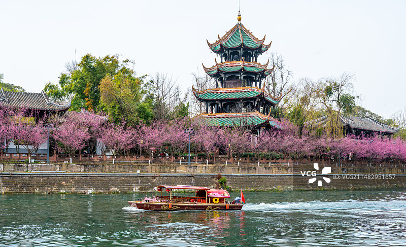 四川成都望江楼古建筑春天樱花园林风景高视角航拍图片素材