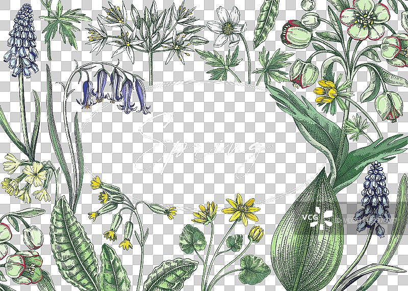 春季野花林地背景图片素材