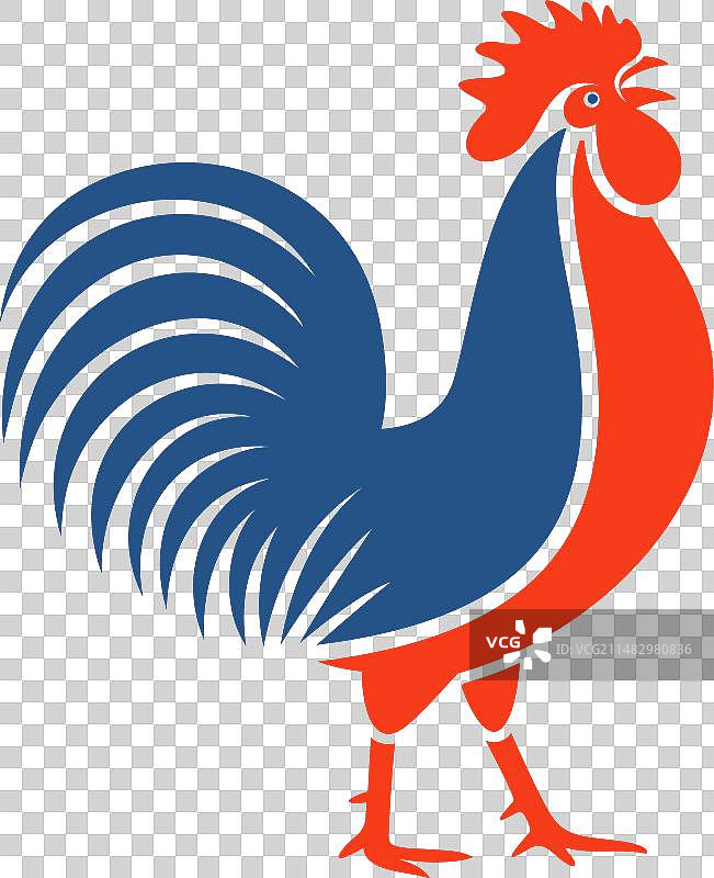 法国公鸡图片素材