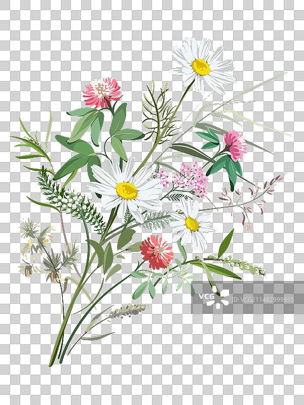 手绘花草彩色草图图片素材