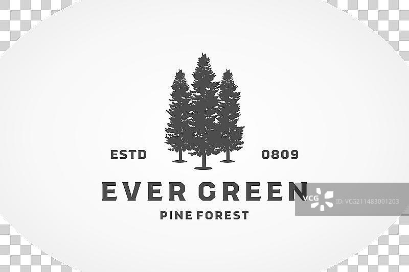 三棵松树标志设计图片素材