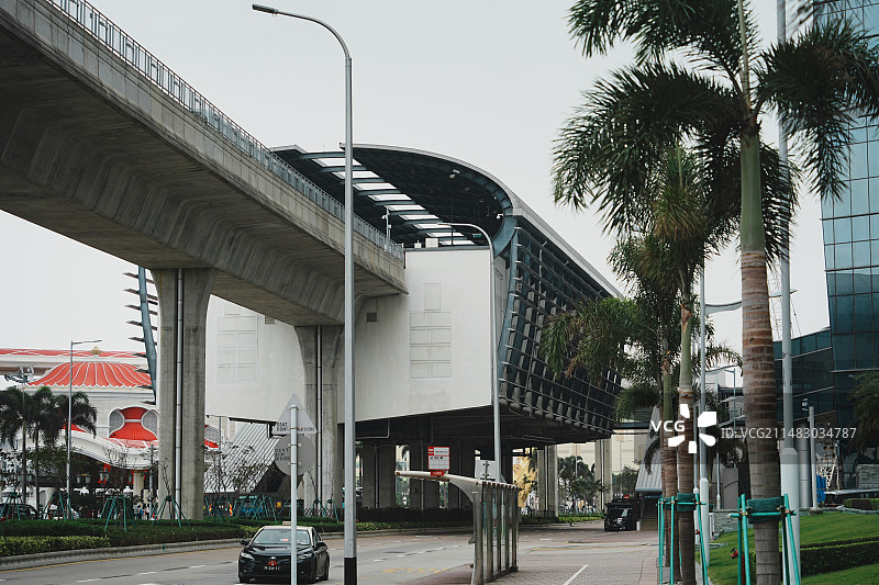 澳门永利吉祥树富贵龙图片素材