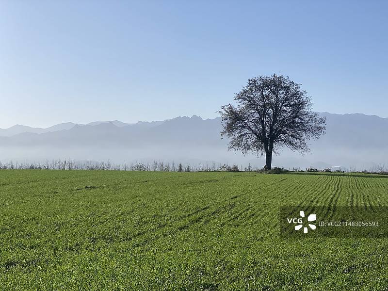 雪景，冰瀑布，冬日图片素材