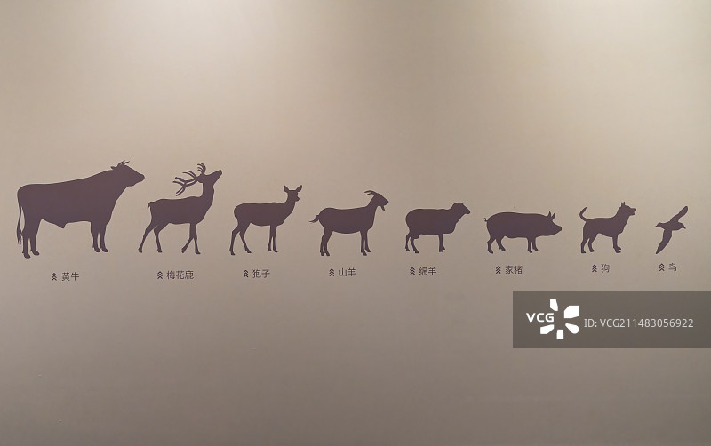 古代文明，二里头遗址居民肉食资源示意图图片素材