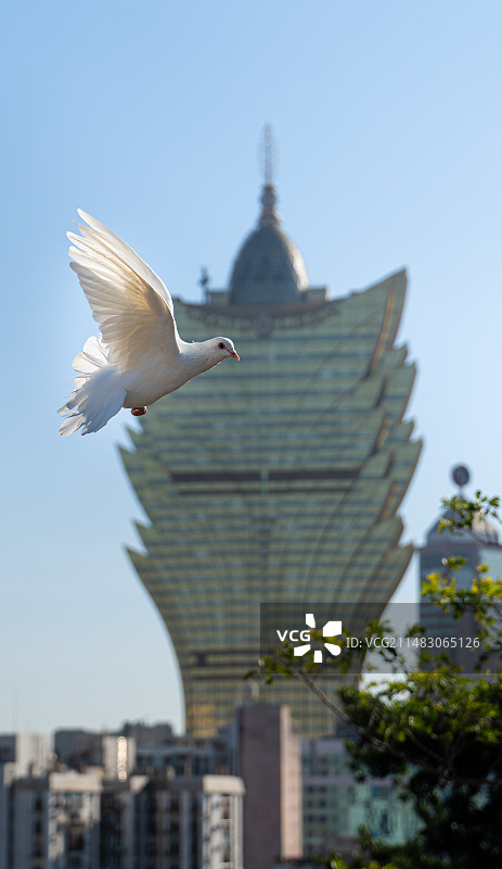 飞向未来—澳门新葡京图片素材