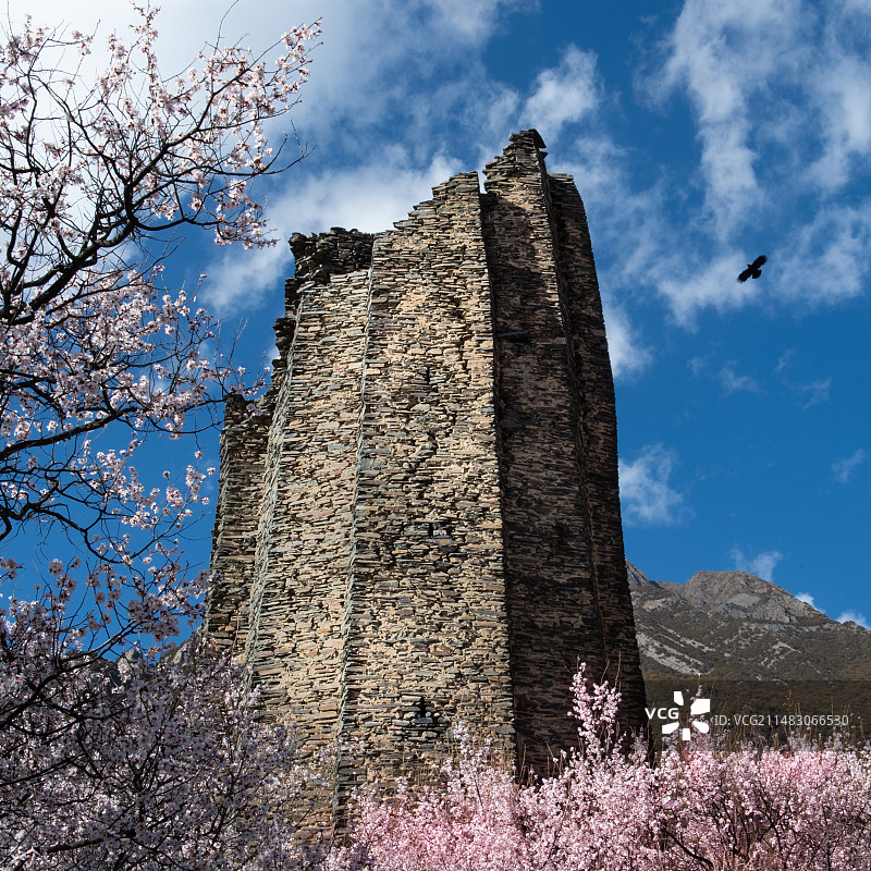 古堡的春天图片素材