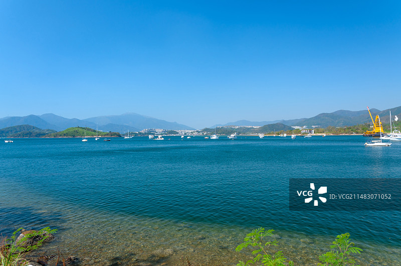 香港大埔大美督海湾海港码头游船游艇图片素材