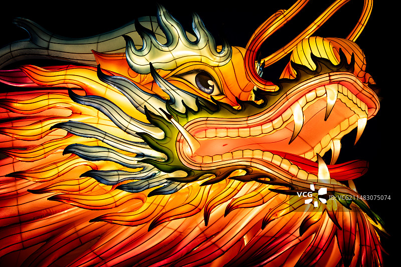 龙龖龘图片素材