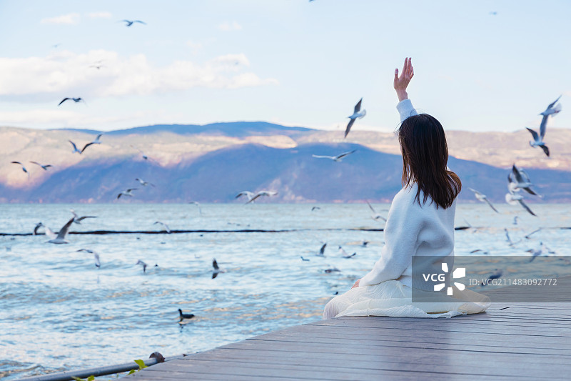 女生在洱海走廊边观赏海鸥图片素材