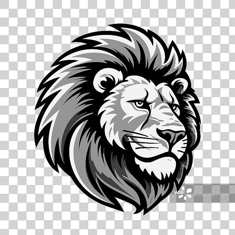 雄伟的狮子头野生动物图片素材