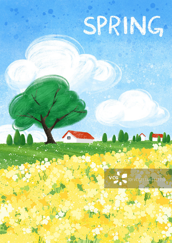 春天的油菜花田插画图片素材