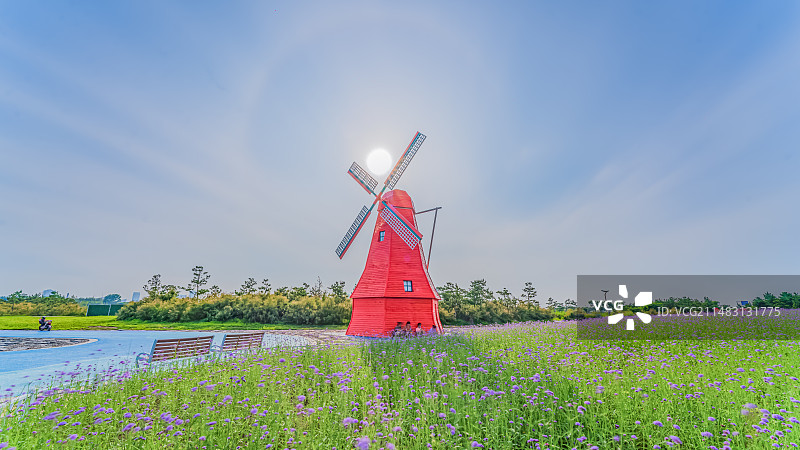 山东省烟台市福山区黄渤海新区海螺广场薰衣草风车蓝天白云日晕城市自然风光图片素材