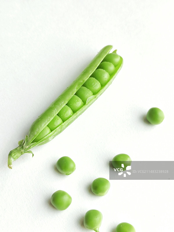 豌豆图片素材