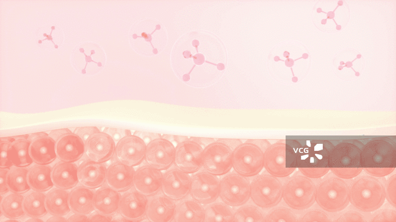 皮肤细胞与吸收的分子3D渲染图片素材