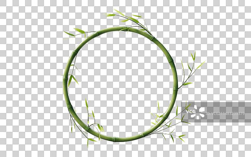 绿色竹子和竹叶元素3D渲染图片素材