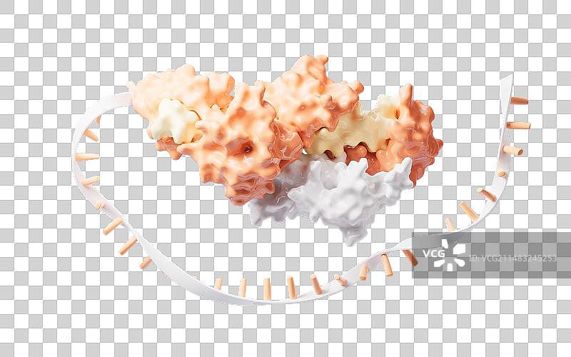 生物科技概念RNA基因与蛋白质元素3D渲染图片素材