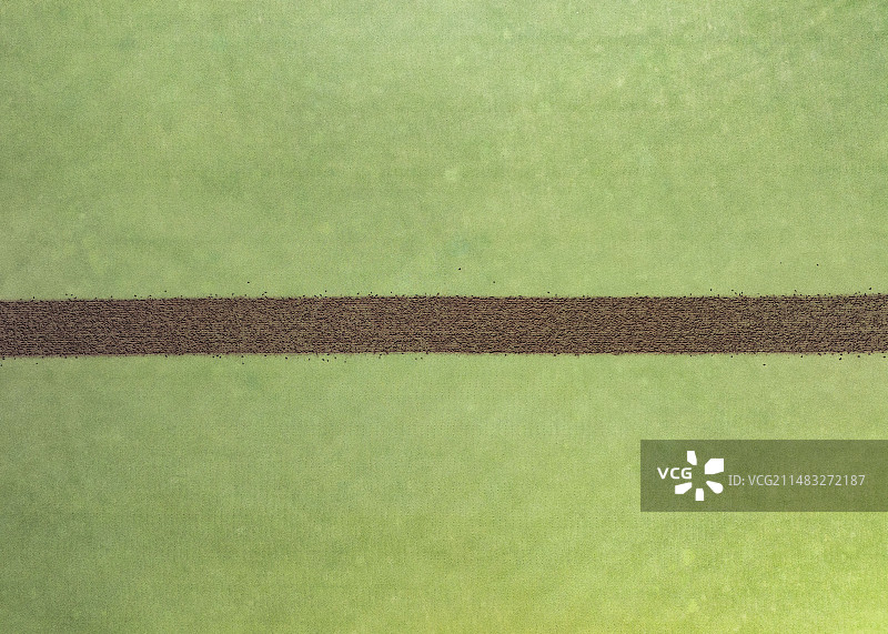 高尔夫球场清理草坪图片素材