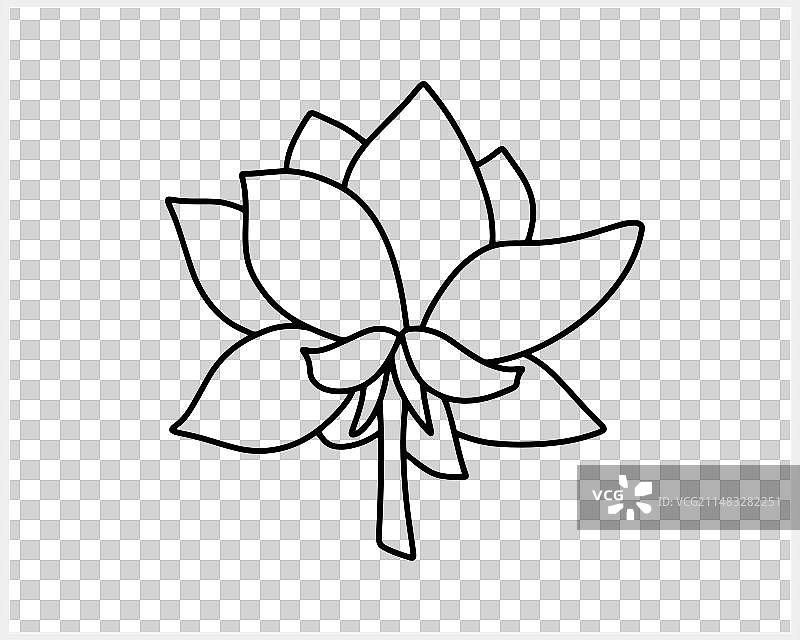 孤立的莲花涂鸦图标草图图片素材