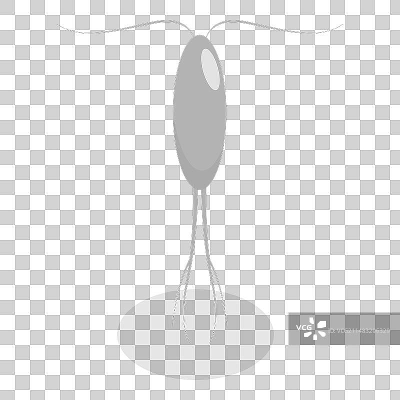 2.5D品种套件图片素材