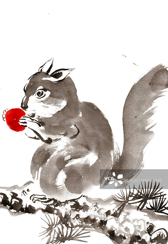 树干上的松鼠图片素材