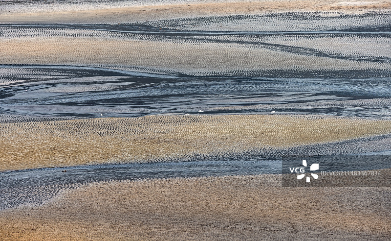 滩涂。白鹭671A6854图片素材