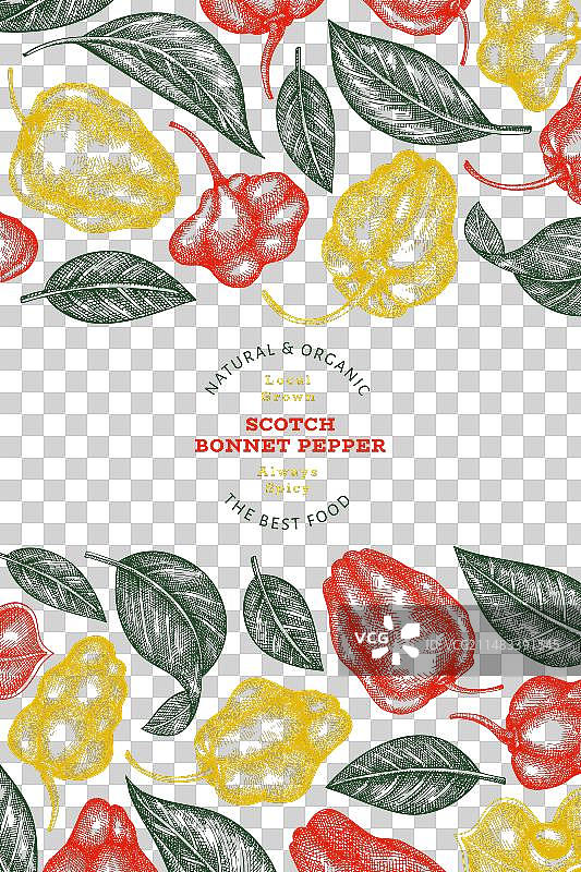 手绘苏格兰帽辣椒图片素材