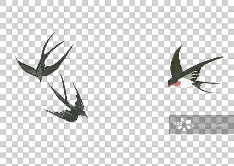 国风国潮燕子插画元素图片素材