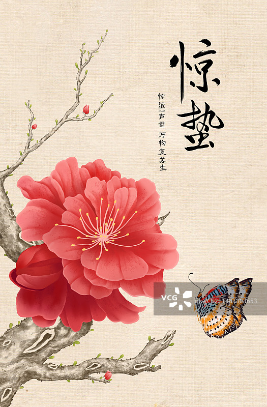 惊蛰桃花蝴蝶工笔画插画图片素材