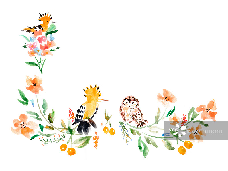 水彩花鸟植物图片素材