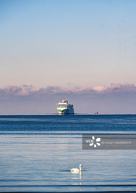 Ballistic Swan图片素材