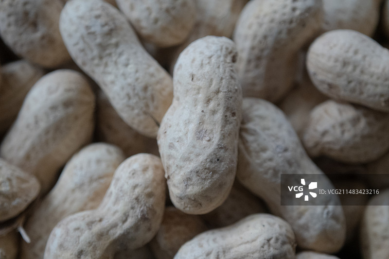 清理干净的花生果实特写图片素材