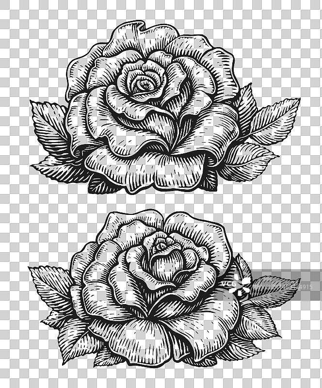 手绘复古玫瑰花蕾与叶子图片素材