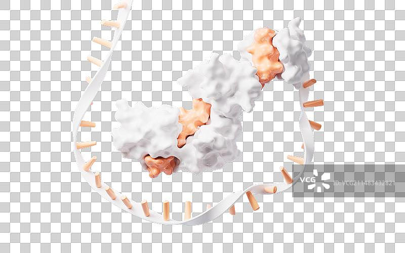 生物科技概念RNA基因与蛋白质元素3D渲染图片素材
