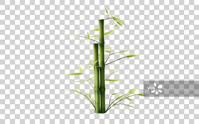 绿色竹子和竹叶元素3D渲染图片素材