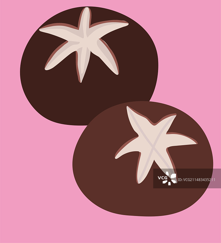 香菇花菇猴头菇香蕈香信香菌冬菇香菰图片素材