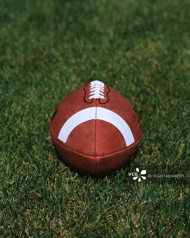 草地上的足球图片素材