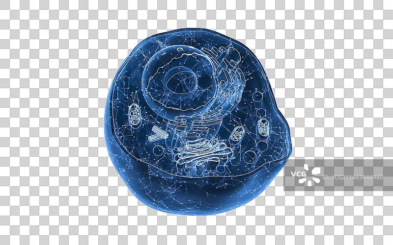 蓝色科技生物细胞结构3D渲染图片素材