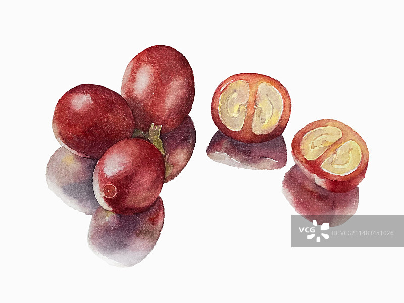 咖啡豆图片素材