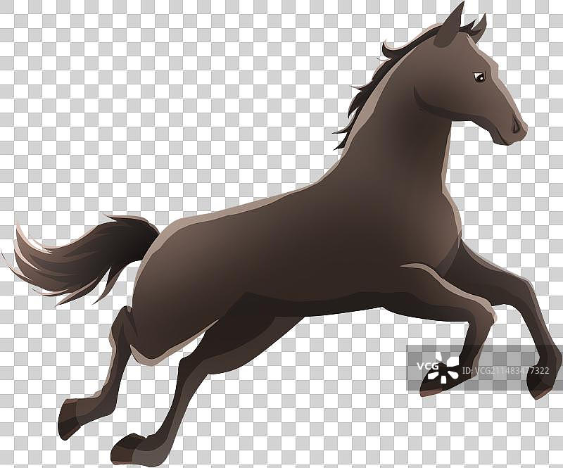 卡通手绘马图片素材