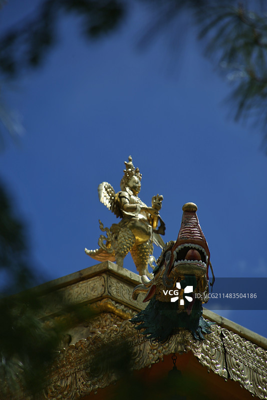 罗布林卡图片素材