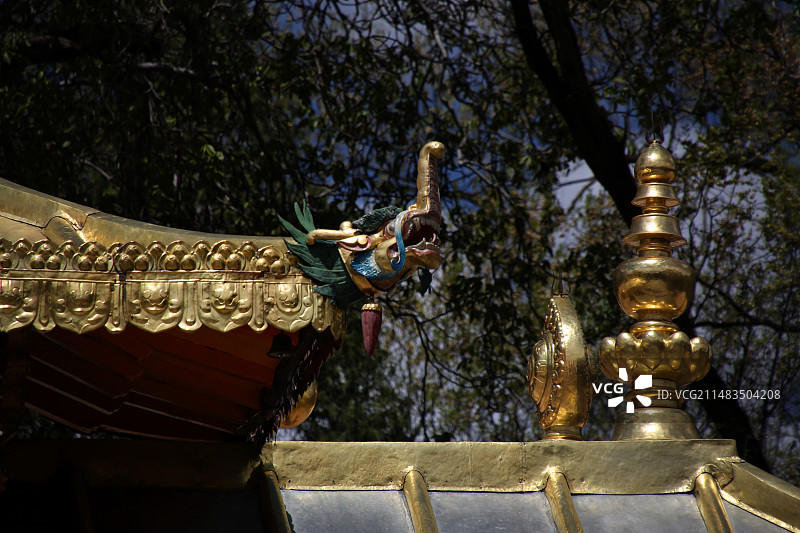 罗布林卡图片素材