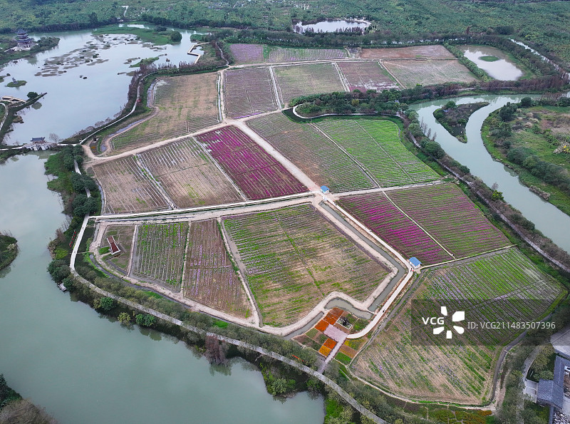 广东省东莞市麻涌镇华阳湖国家湿地公园航拍图片素材
