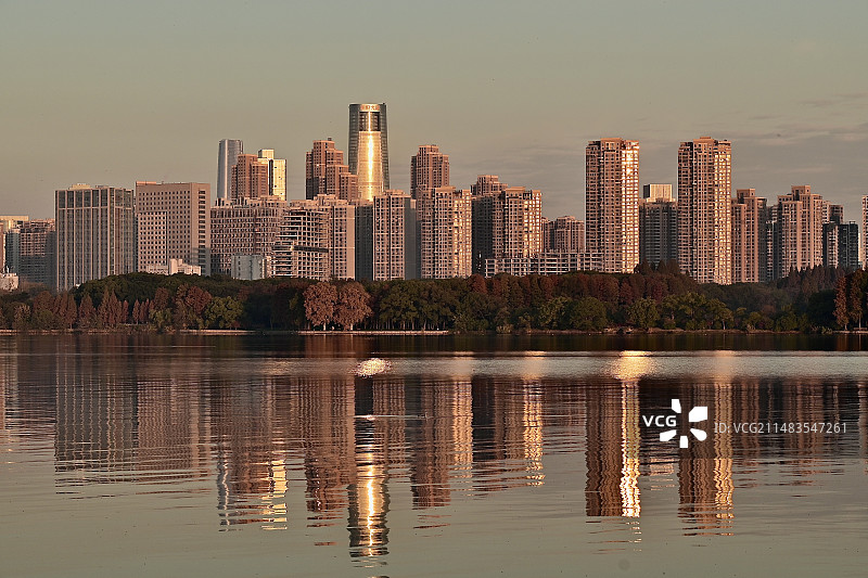 浮光跃金图片素材