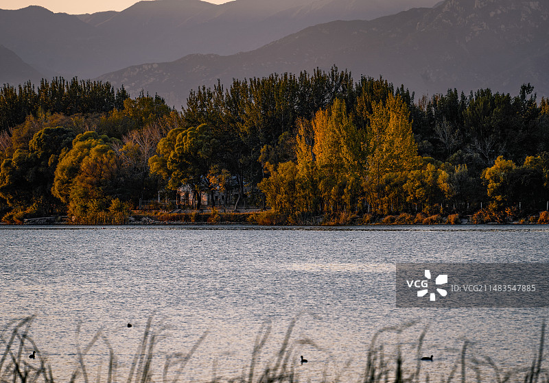 官厅水库妫河岸边的初秋图片素材
